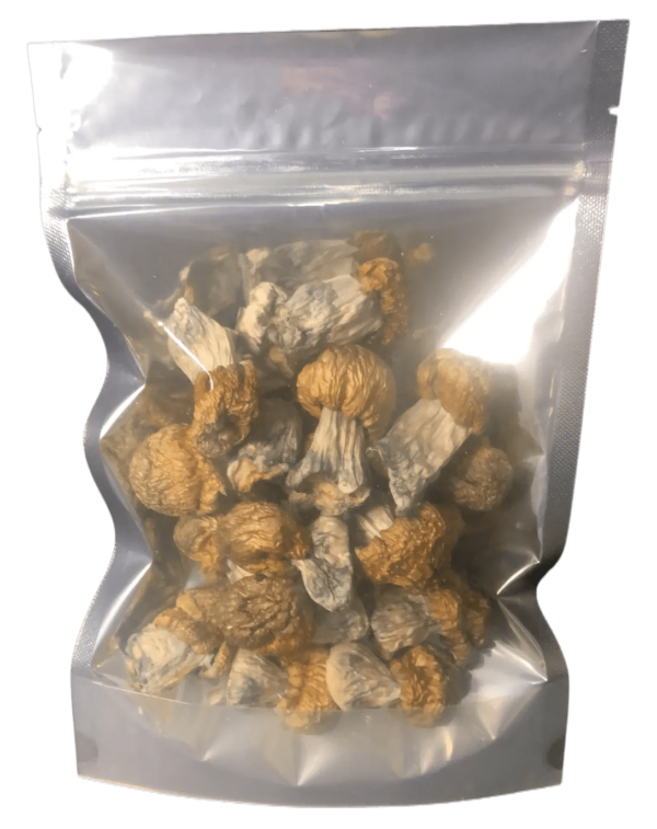 Mushroom Roulette (7g Heroic Dose Mix)